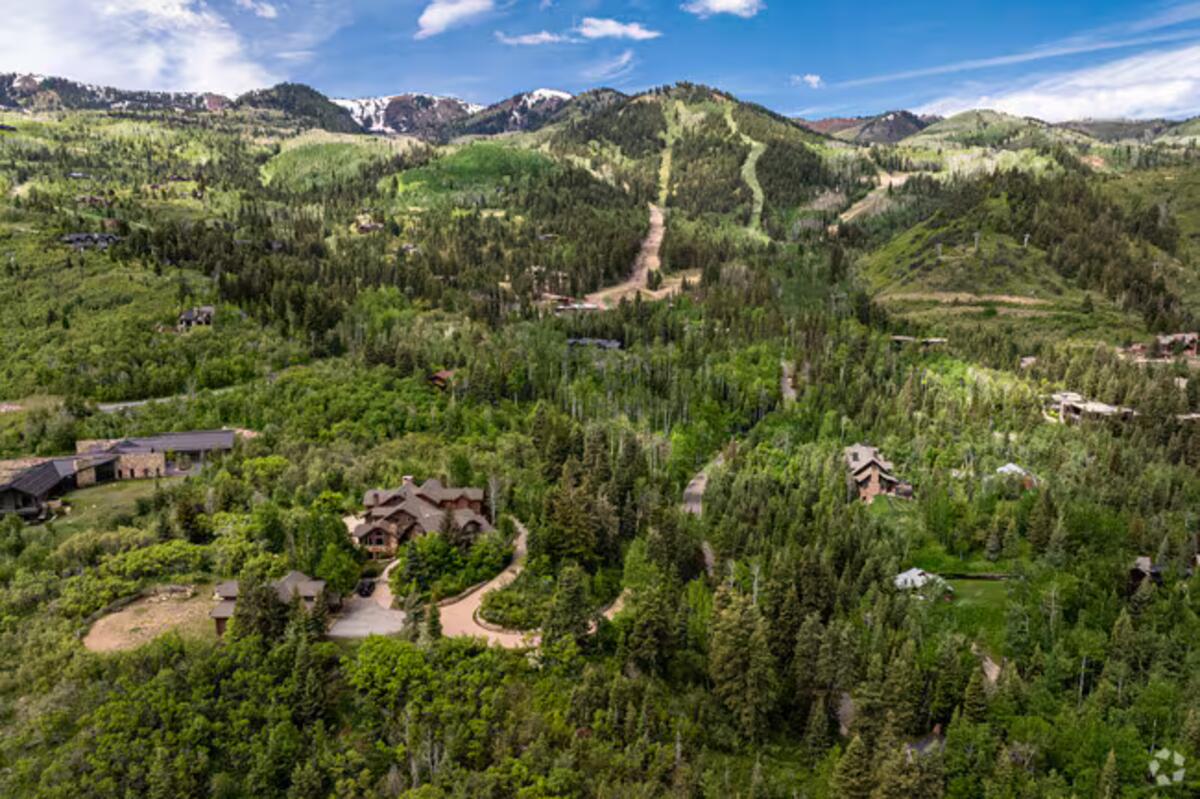 The Colony community