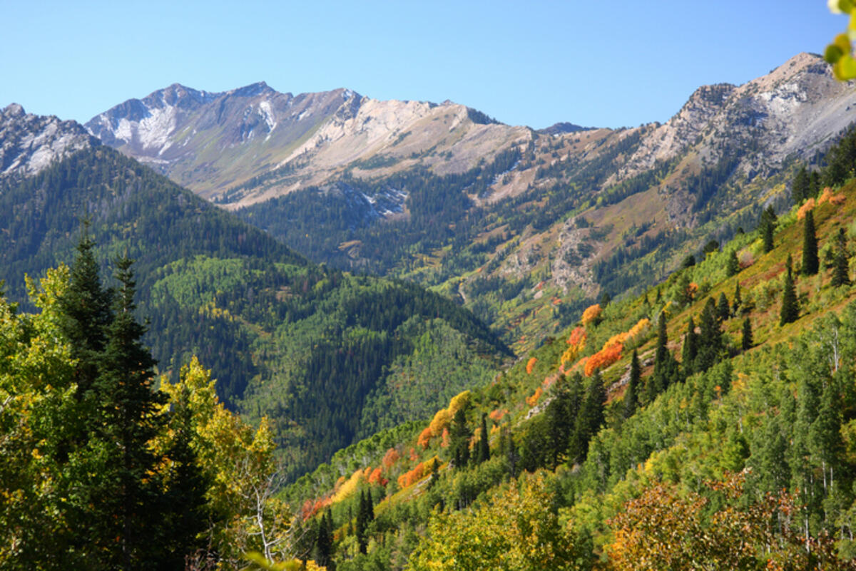 Wasatch Peaks Ranch landscape