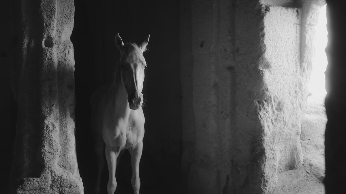 Maison Parrett - Light & Shadow Collection